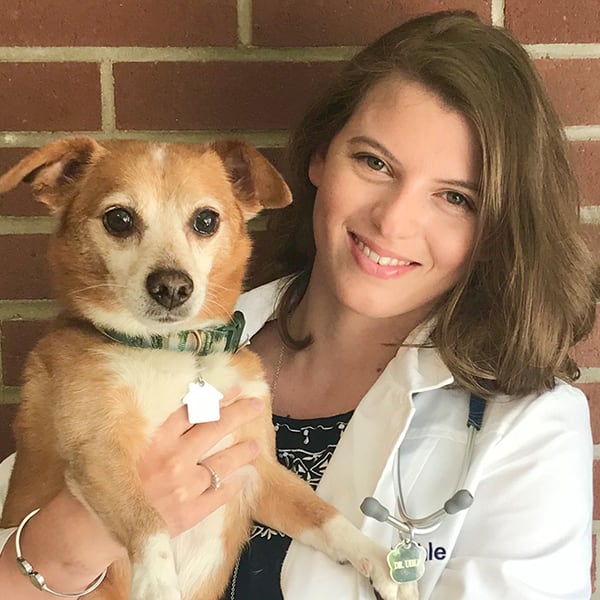 Dr. Catherine Uhle, Westfield Veterinarian