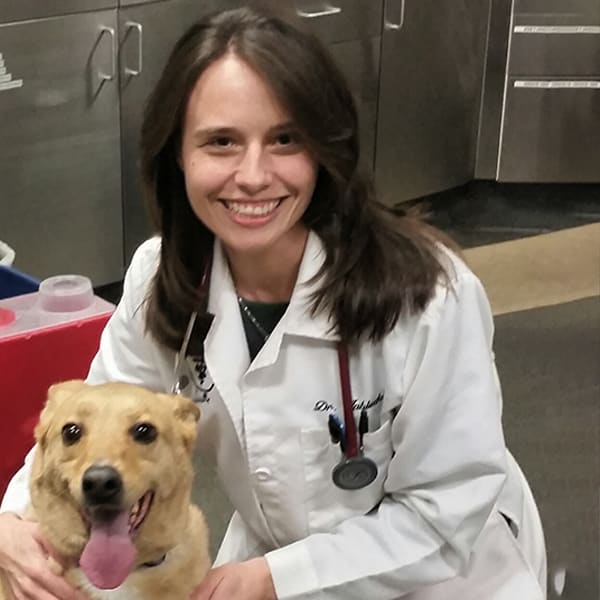 Dr. Margaret Jablecki, Westfield Veterinarian