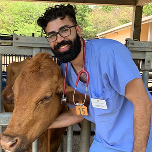 Dr. Azadveer Momi, Westfield Veterinarian