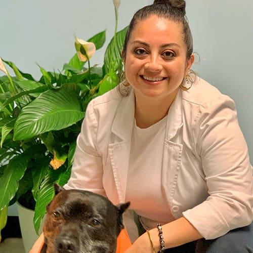 Dr. Alexandra Castellanos-Figueroa, Westfield Veterinarian